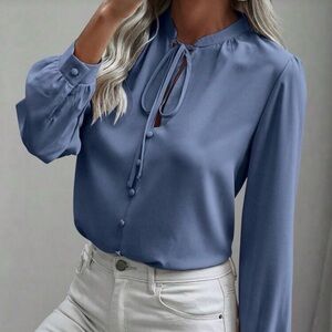 SHEIN Blue Long Sleeve Blouse